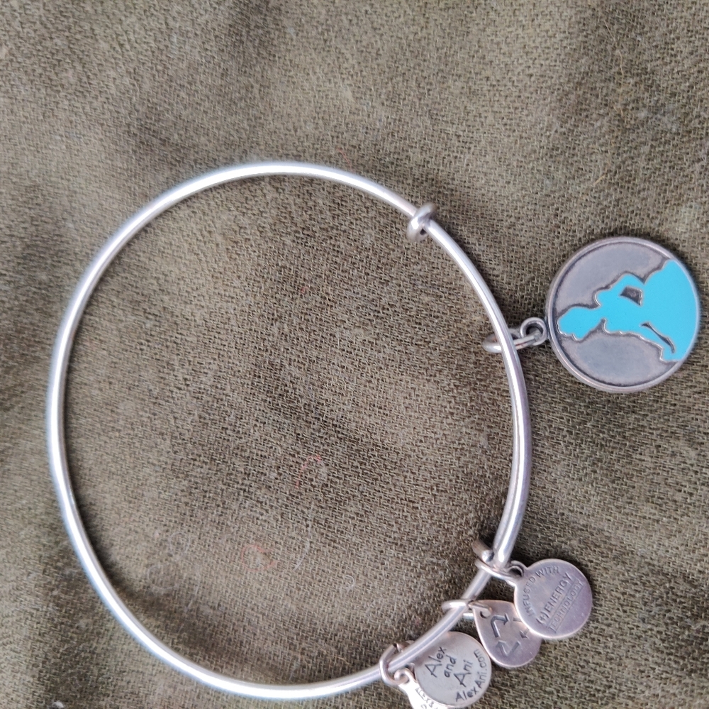 Alex and ani cinderella charm bracelet